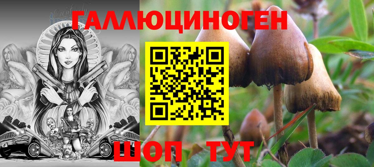 Галлюциногенные грибы Psilocybine cubensis  Вход с VPN  Новочебоксарск 